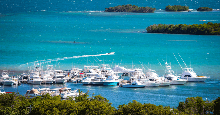 Propeller Maintenance and Fuel Efficiency